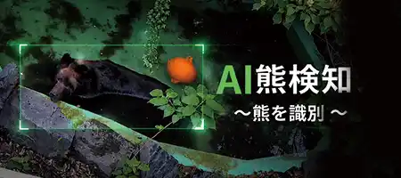 熊検知AIカメラ